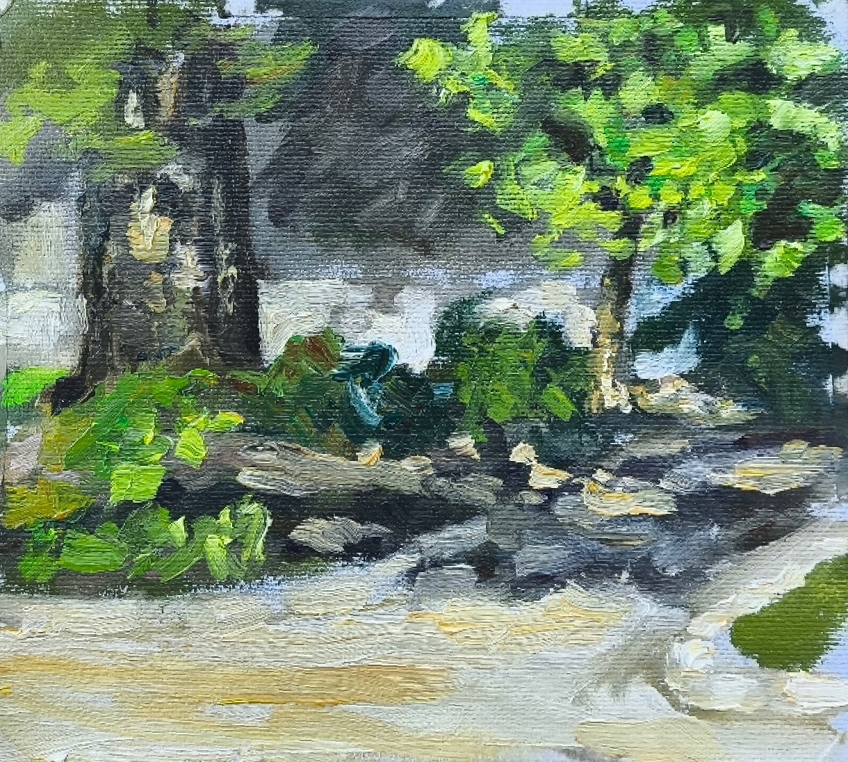 Obra 26